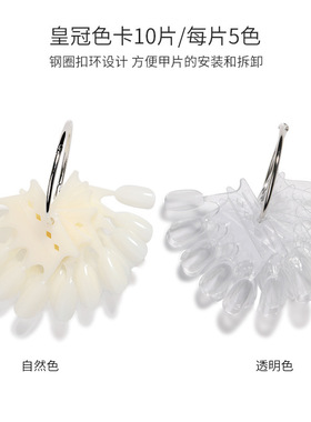 50片尖头竹节扇形色卡美甲工具