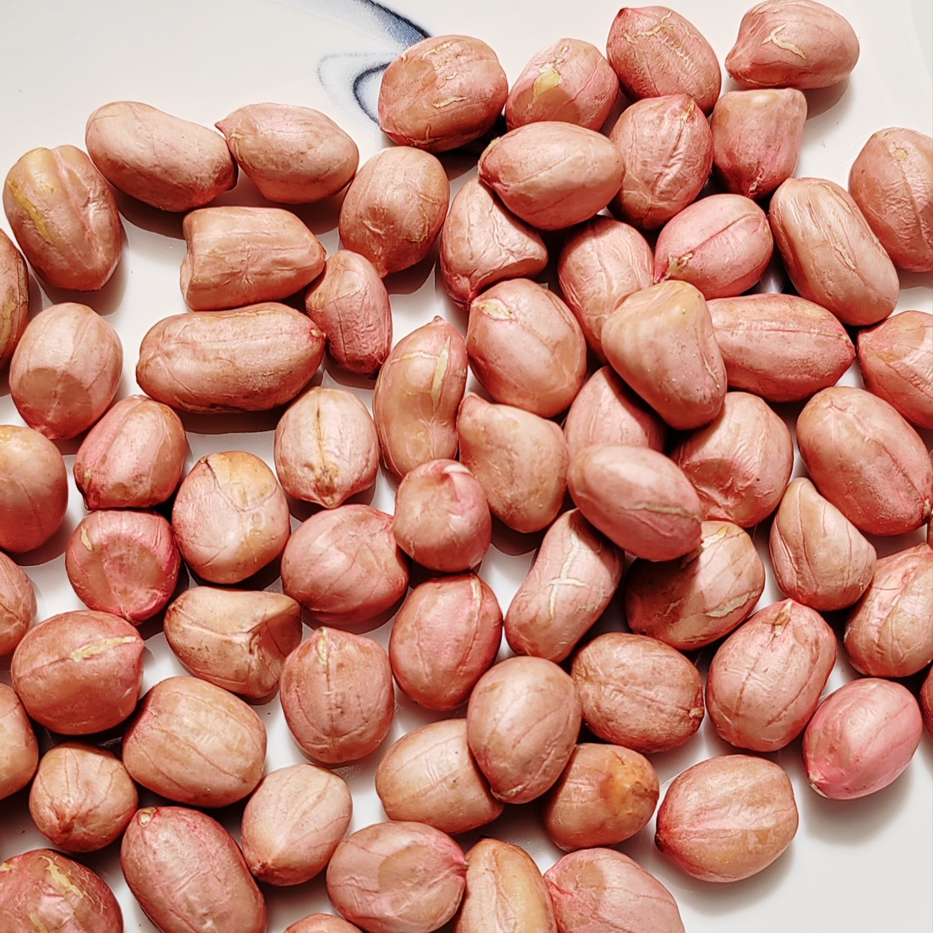 2025年新鲜上市花生米生新河南农家自产大颗粒白沙花生新货农产品,淘宝优惠券,粉丝福利购,淘宝优惠卷