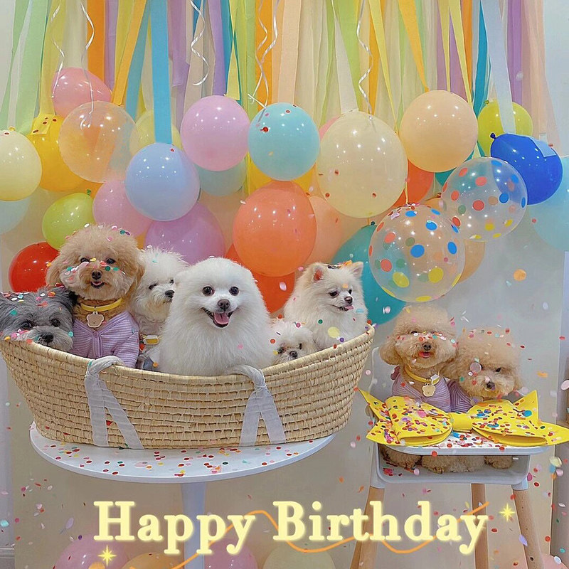 宠物小狗狗猫咪1岁2岁3岁4岁生日装饰场景布置背景墙气球派对装扮,淘宝优惠券,粉丝福利购,淘宝优惠卷