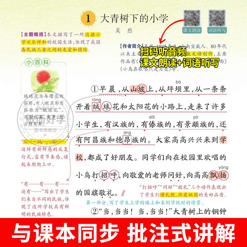 2024秋一本课本预习笔记三四年级上册五六年级一二年级语文数学英语人教版北师苏教小学生同步教材解读学霸随堂教材讲解全解辅导书