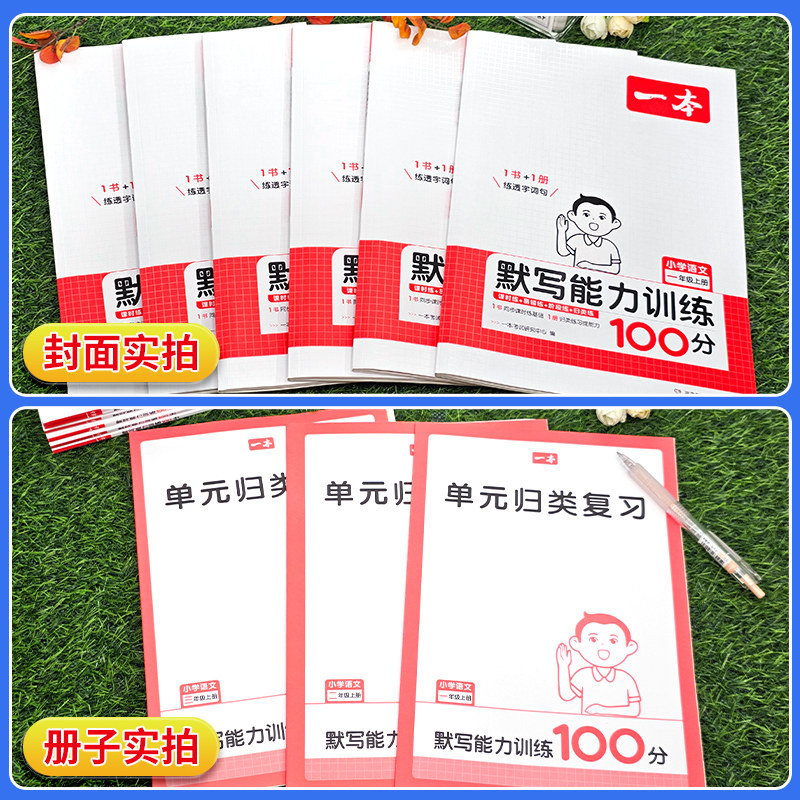 一本默写能力训练100分一二年级三四五六年级下册小学生语文看拼音写词语作业本字词句练习册同步课本阅读理解专项训练小能手