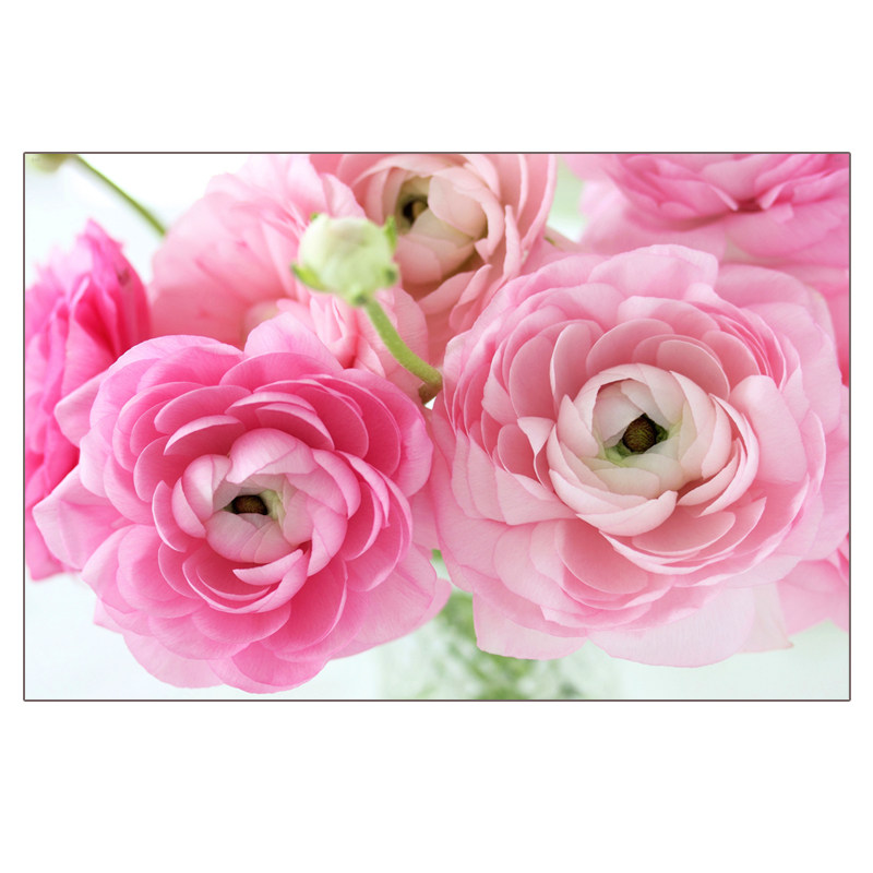 装饰画客厅卧室床头画沙发背景墙贴壁画浪漫温馨玫瑰花自粘墙纸画,淘宝优惠券,粉丝福利购,淘宝优惠卷