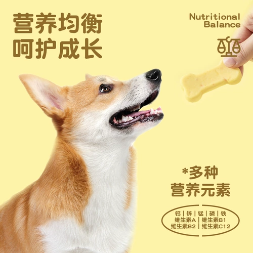 Собачьи закуски, моляры, фрукты, овощи и сырные стержни, большие и маленькие собаки щенки плюшевые бары.