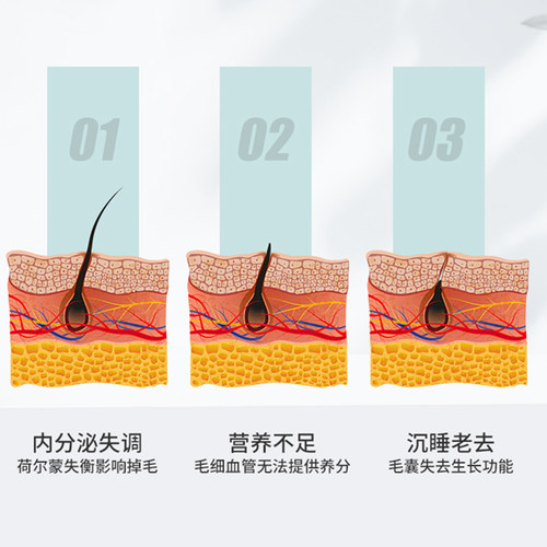 麦德氏卵磷脂狗狗美毛护毛护肤宠物金毛泰迪防掉毛犬用软磷脂-图2