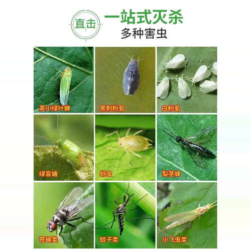 粘虫板黄板诱虫板蓝板双面沾白粉虱蚜虫针蜂贴果蝇诱捕器果园大棚 - 图2