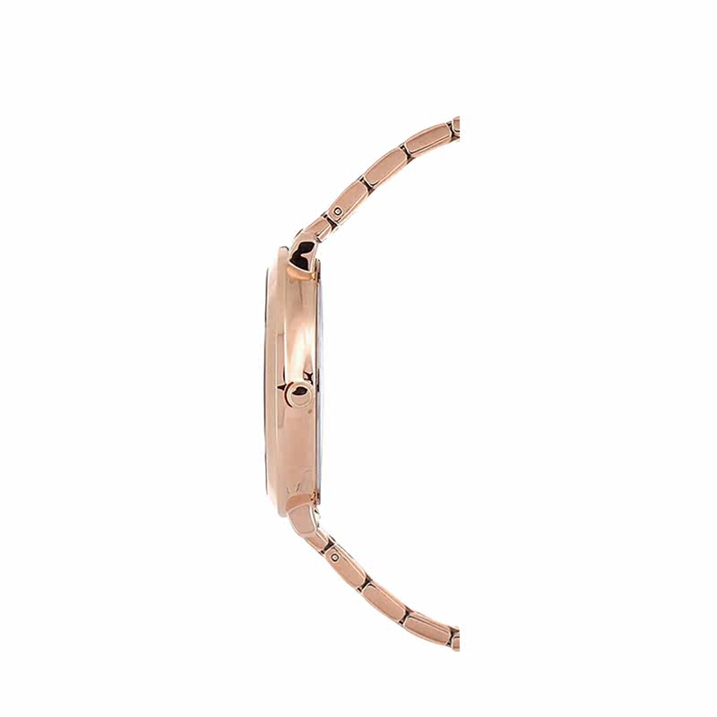 pierre lannier连尼亚法国正品女表 奢de态度其它首饰