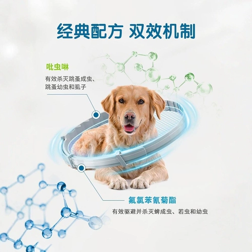 Домашние ошейники для домашних животных Внешнее профилактика насекомых и удаление блох и вшей собаки Специальное кольцо кошачья кошачья артефакт ожерелье