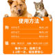 Cats and dogs with internal and external insecticides and insecticide tablets