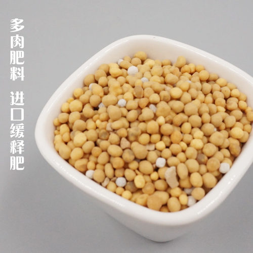 多肉植物营养土养花土种花土专用泥炭土多肉肥料椰砖土花泥种颗粒 - 图3