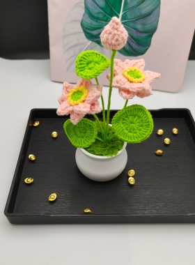 【成品】荷花钩织创意小盆栽高考教师礼品汽车办公摆件毛线编织品