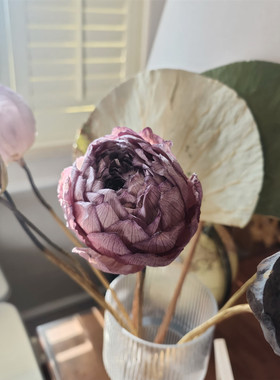 荷花干花insfeng装饰摆件
