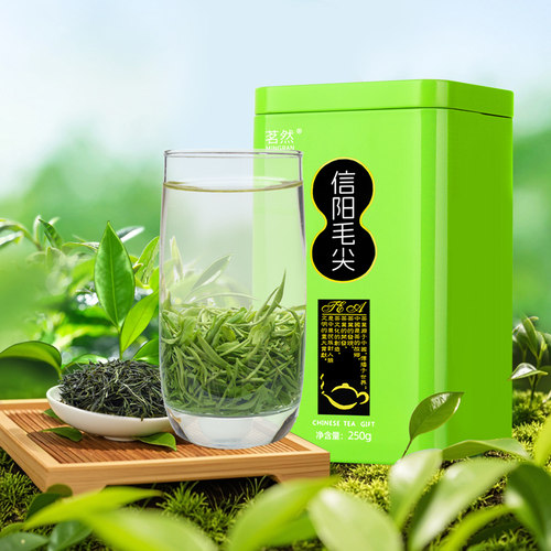 绿茶信阳毛尖2026新茶雨前嫩芽春茶浓香耐泡正宗高山茶叶500克罐 - 图2