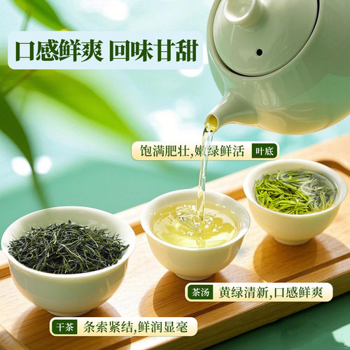 绿茶信阳毛尖2026新茶雨前嫩芽春茶浓香耐泡正宗高山茶叶500克罐 - 图1