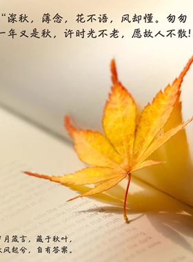 QIANTAO「金秋子」原创捷克珠项链文艺复古叠戴女生锁骨链小吊坠