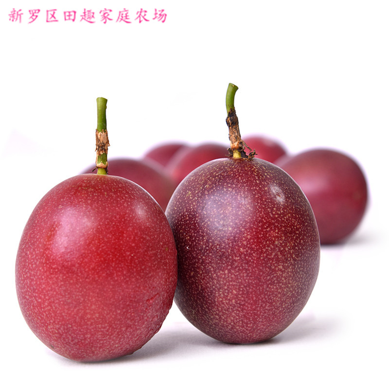 福建新鲜有机普通邮百香果图片_3