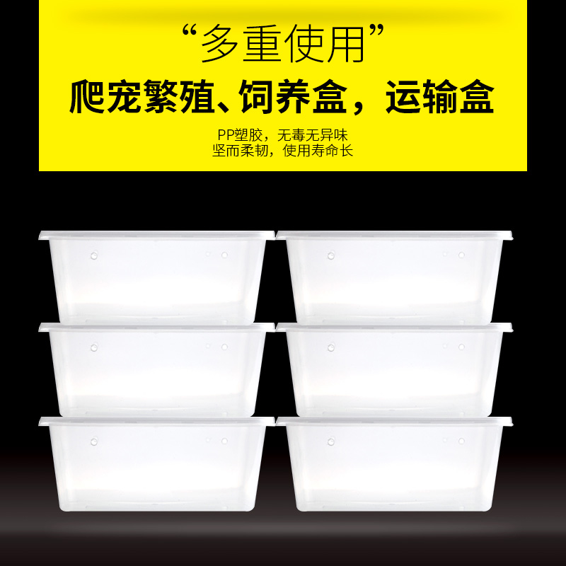 LIFELINE命脉 龟、蛇等爬宠蛋繁殖 孵化盒、爬宠运输盒 - 图1