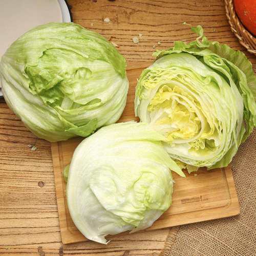 20斤装 包邮 汉堡用球生菜西餐新鲜蔬菜沙拉食材结球形圆型西生菜 - 图2