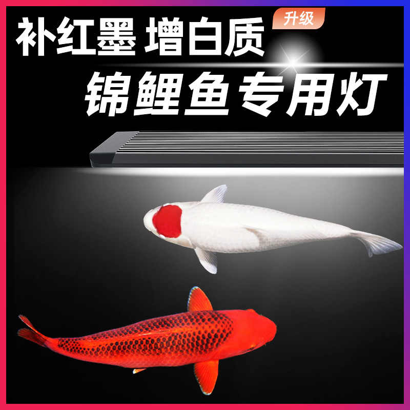 錦鯉魚缸專用燈 新人首單立減十元 21年12月 淘寶海外