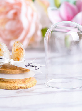 天然水晶条玻璃罩微景观水晶树儿童科普节日礼物家居装饰摆件