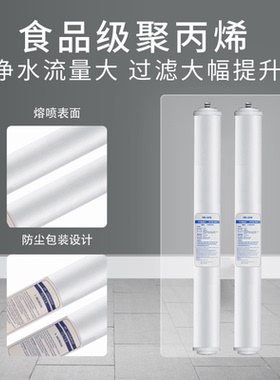 20寸尖头滤芯售水机前四级用插口