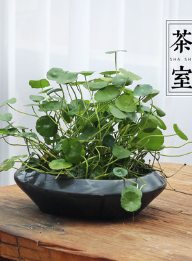 新中式黑色陶瓷插花盘剑山插花器小原流花道日式禅意创意花盆新