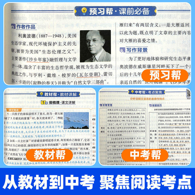 2026版 教材帮八年级下册语文数学英语物理政治历史生物全套人教版北师大版沪科版初中初二上册同步中学教材全解 教材帮八上