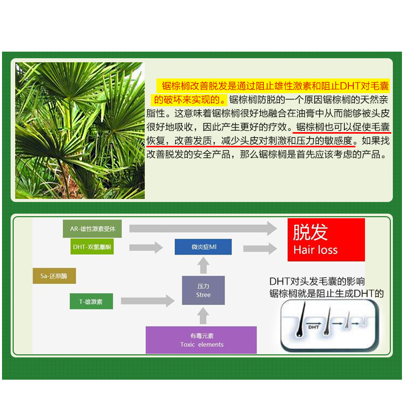 宜度海外专营店锯棕榈胶囊提取物生发防脱发前列腺保健植物非那雄胺dht阻断剂1