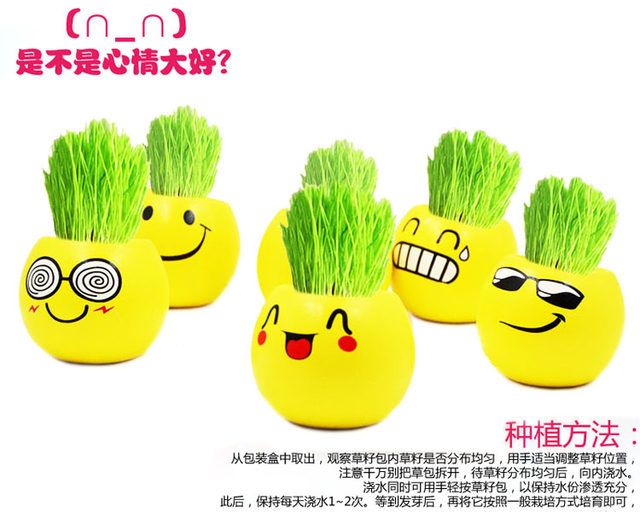 Emoticon diy fun prize opening grass head doll