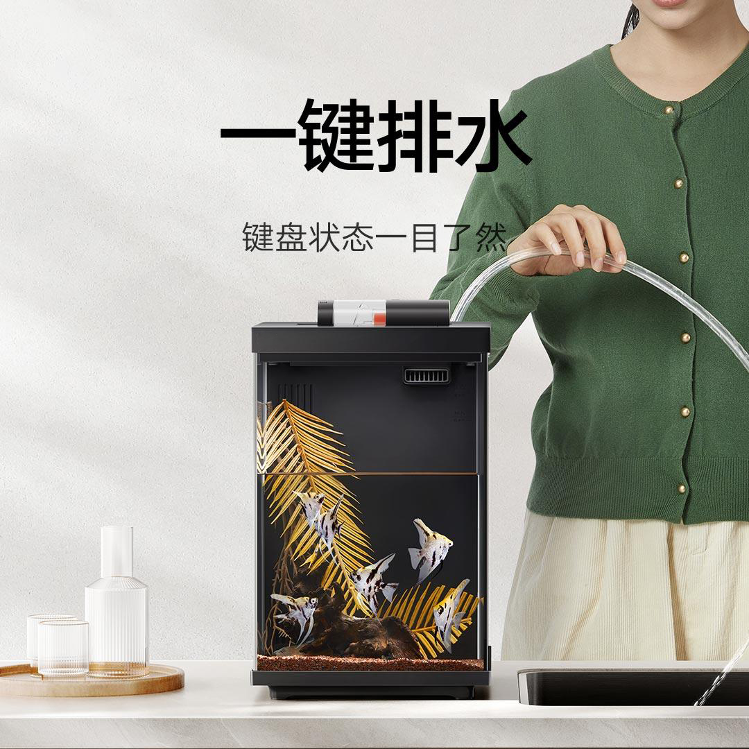 С׶2025¿׼̬СͿùѭ