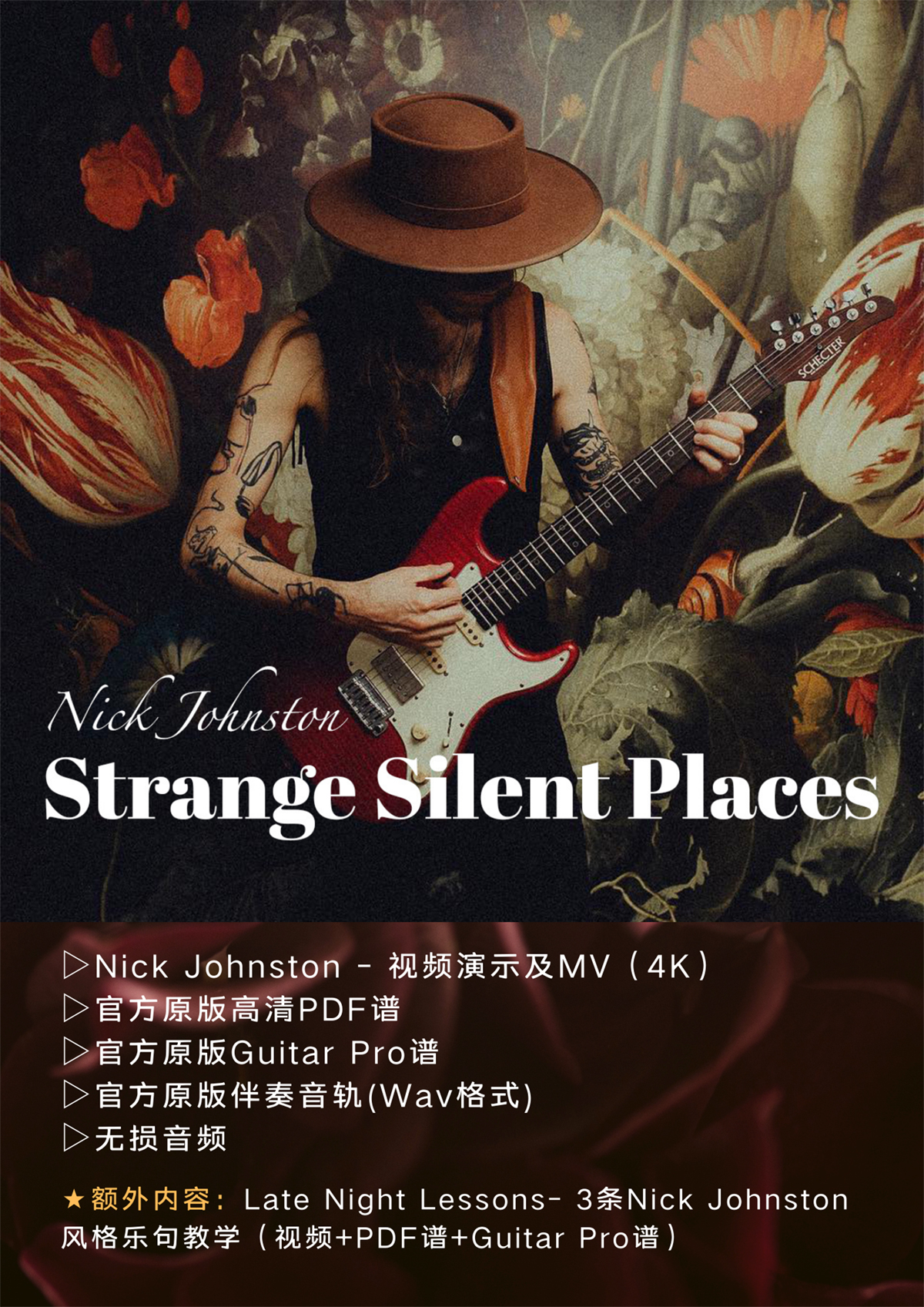 Nick Johnston- Strange Silent Places电吉他教学原版谱伴奏视-图0