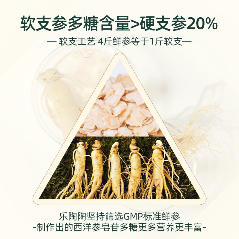 乐陶陶出口美国长白山西洋参整软枝 乐陶陶食品西洋参