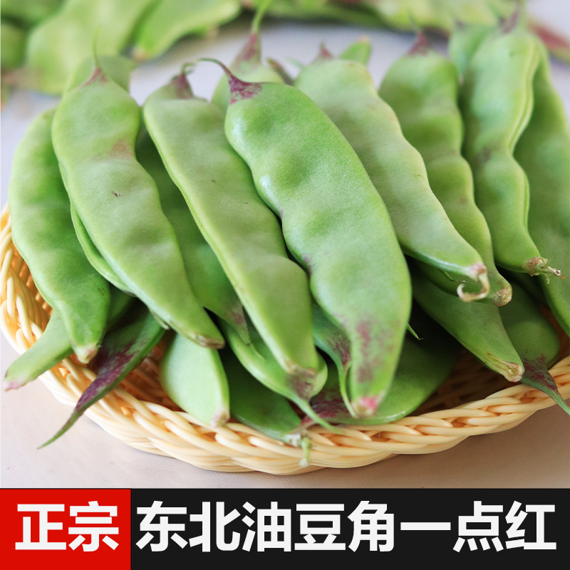 正宗东北油豆角一点红豆角新鲜蔬菜九月青面豆角开锅烂食用农产品-图1