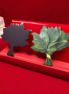 【去晦气】磁吸加厚柚子叶原创设计转运无痕冰箱贴手机贴电动车贴