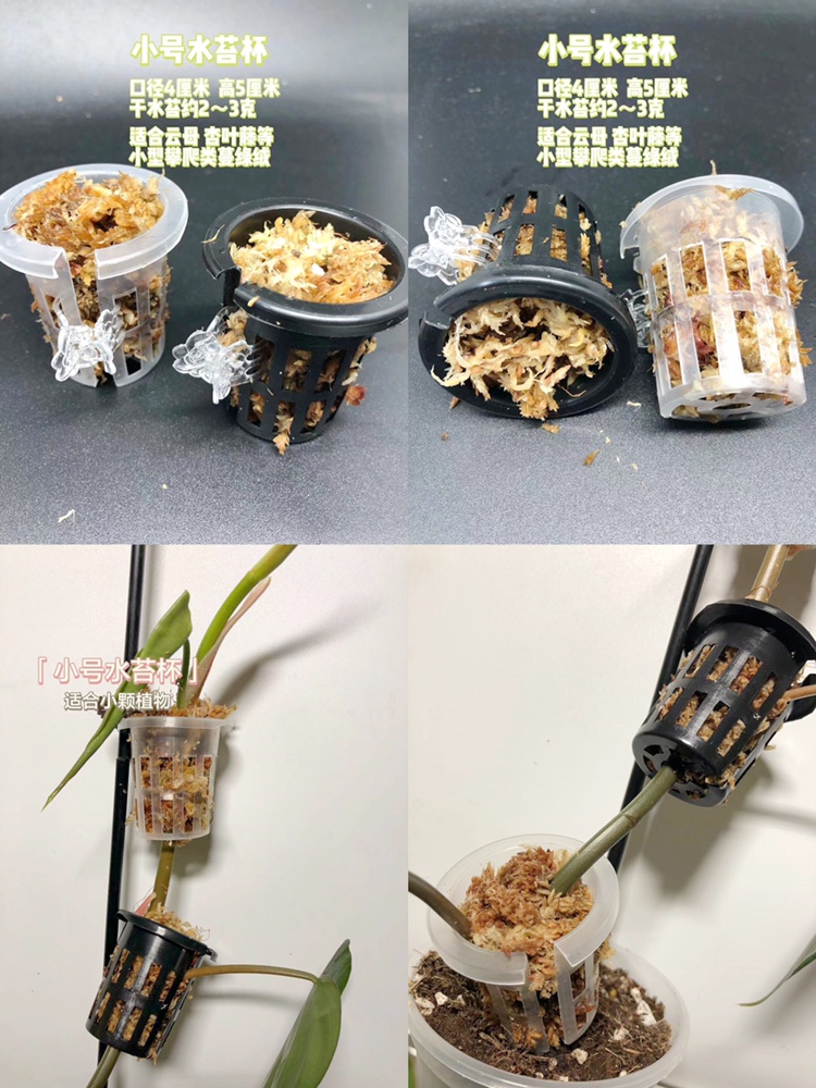 水苔杯水苔盒攀爬保湿龟背竹花烛绿萝生长大号小号棕棒水苔柱包邮-图3