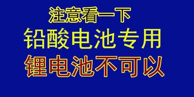 超威天能电池通用【自动断电】电动车电瓶车充电器48V60v72伏快冲-图3