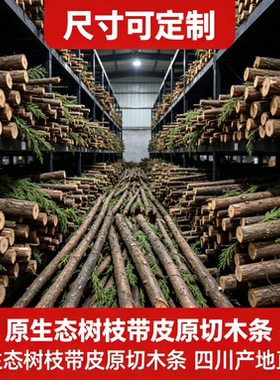 柏树棍柏树枝装饰摆件DIY手工