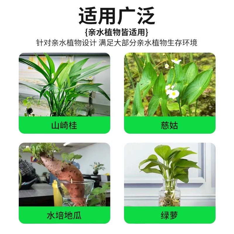 【鱼缸水培植物固定架】红薯苗带吸盘支架水生植物装饰盆栽壁挂式,淘宝优惠券,粉丝福利购,淘宝优惠卷