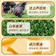 Weilong Chicken Scallion Crackers Small Packet