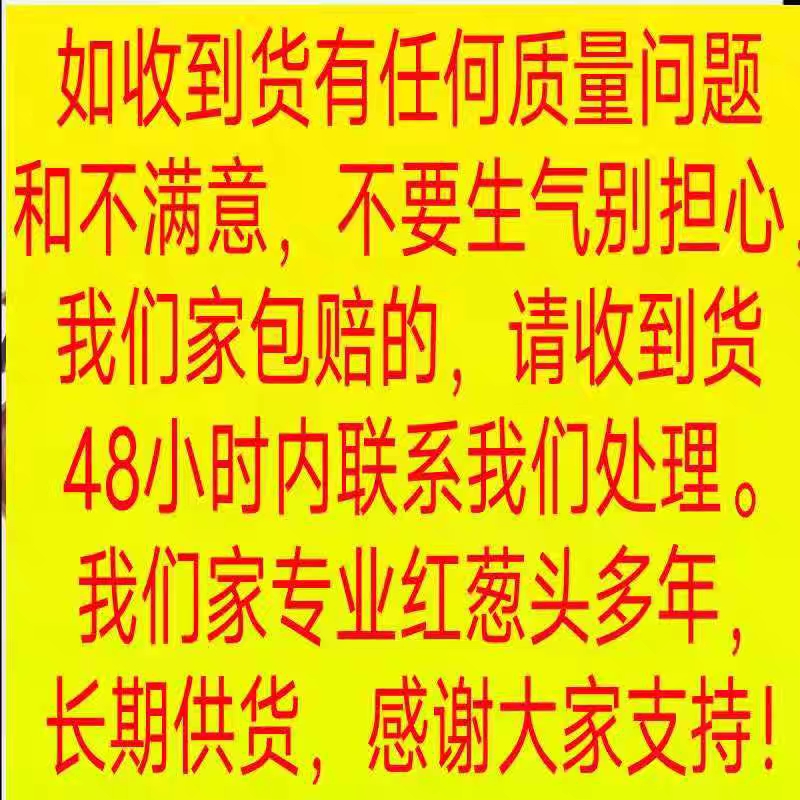 红葱头正宗新鲜小火干葱头种子做葱油酥肠粉雲吞汁广东产地发1份