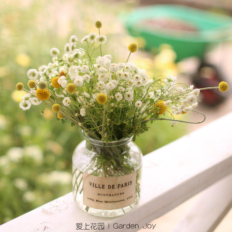 爱上花园室内装饰摆件插花瓶拍摄道具简约光面贴纸玻璃瓶,淘宝优惠券,粉丝福利购,淘宝优惠卷