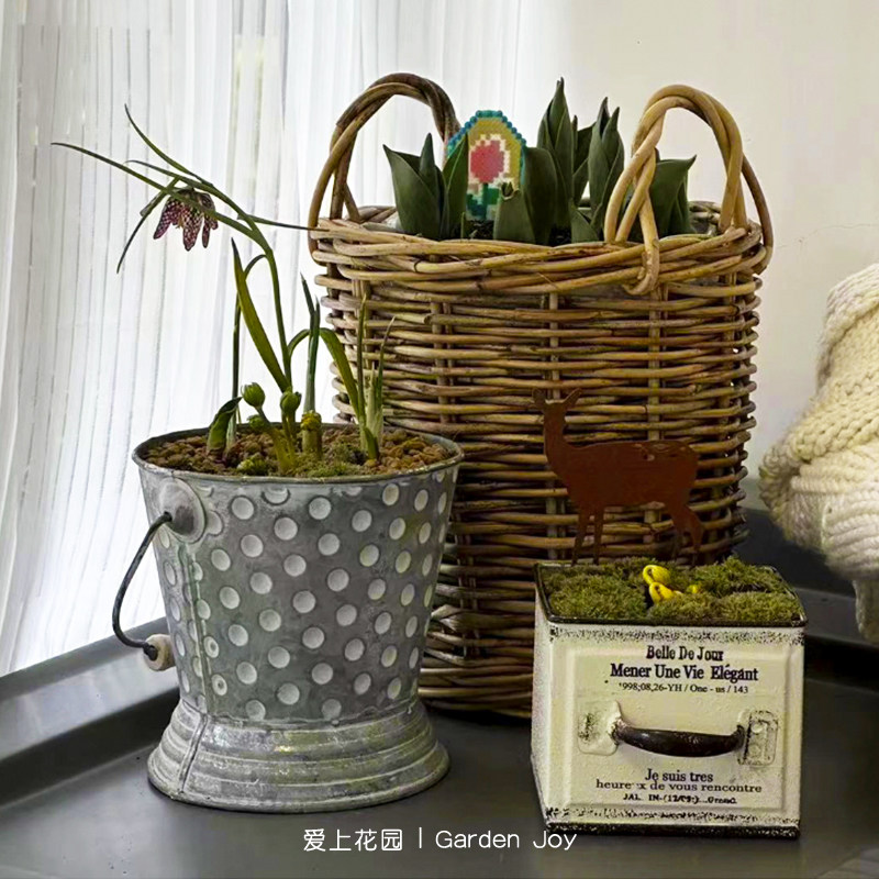 爱上花园|园艺杂货 铁艺做旧铁皮花盒 波点带底座的点点提桶,淘宝优惠券,粉丝福利购,淘宝优惠卷