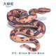Large children's simulation animal toy fake snake model wild animal venomous snake hovering boa constrictor boy gift