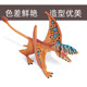 Jurassic dinosaur model pterosaur toy bat dragon Dimorphodon pterosaur children's science and education cognitive gift ornaments