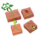 Simulated plant growth cycle toys