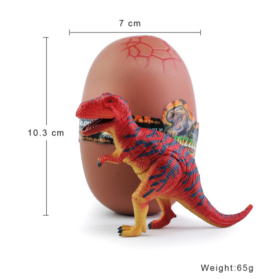 Educational 3D three-dimensional assembled toy model animal egg