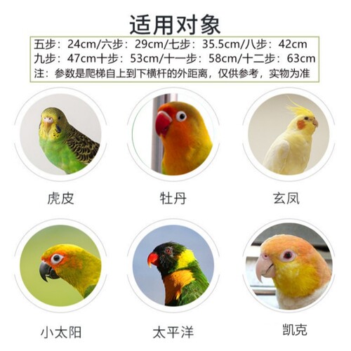 鹦鹉鸟用品玩具鸟笼爬梯软桥鸟秋千吊桥吊环云梯批发可弯曲不会断 - 图1