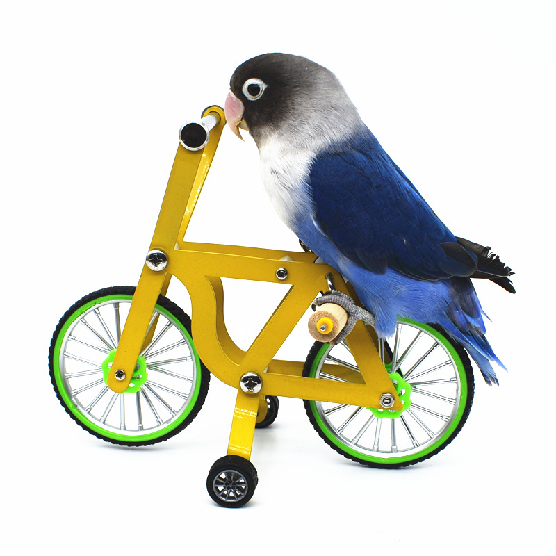 Parrot Bicycle Toy Bird Training Supplies Tiger Peony