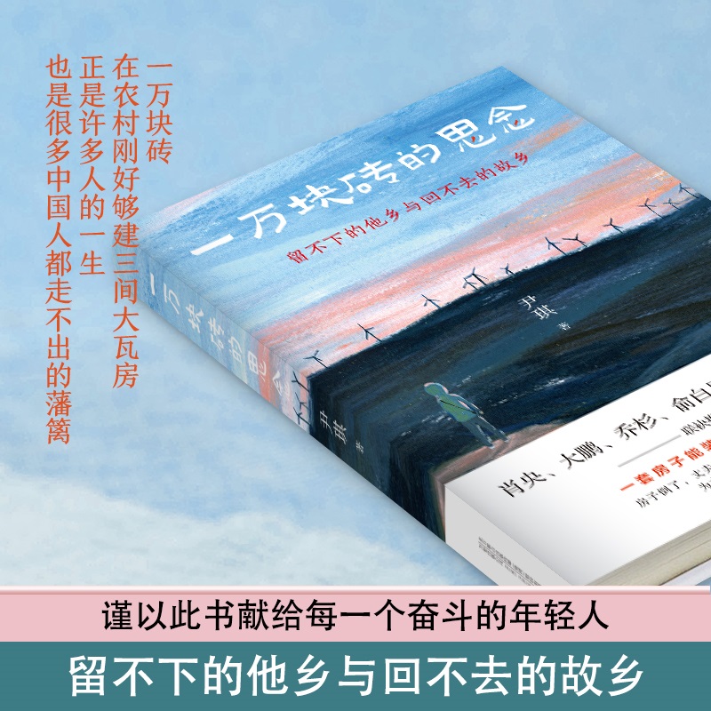 一万块砖的思念 尹琪著留不下的他乡与回不去的故乡关于房子爱情和命运东北一家人的悲欢离合亲情乡村家庭生活小说现当代文学书籍 - 图0