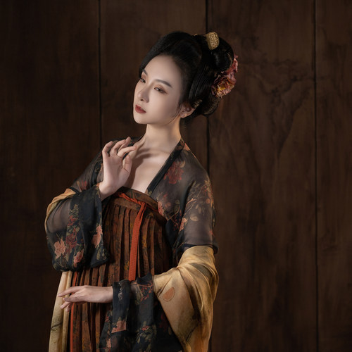 【绝版赏析】襦一坊丨太平赋 唐齐胸衫裙真丝香云纱复原汉服女 - 图1