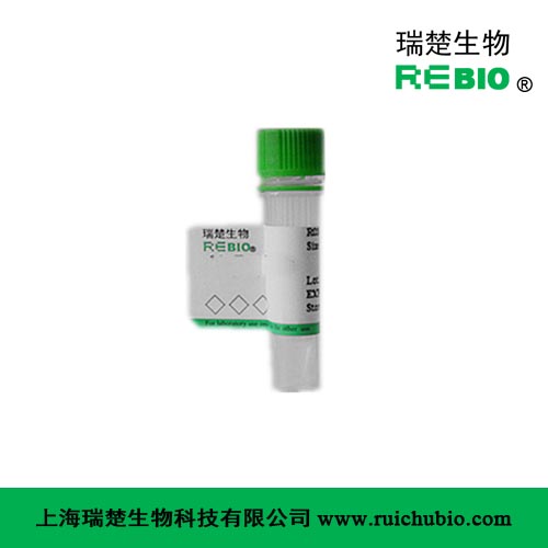 F0005 GFP 绿色荧光蛋白 增强型 2mg [科研用] - 图0